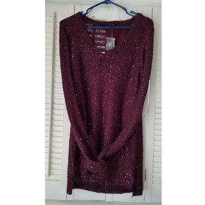 NWT Dark purple sweater